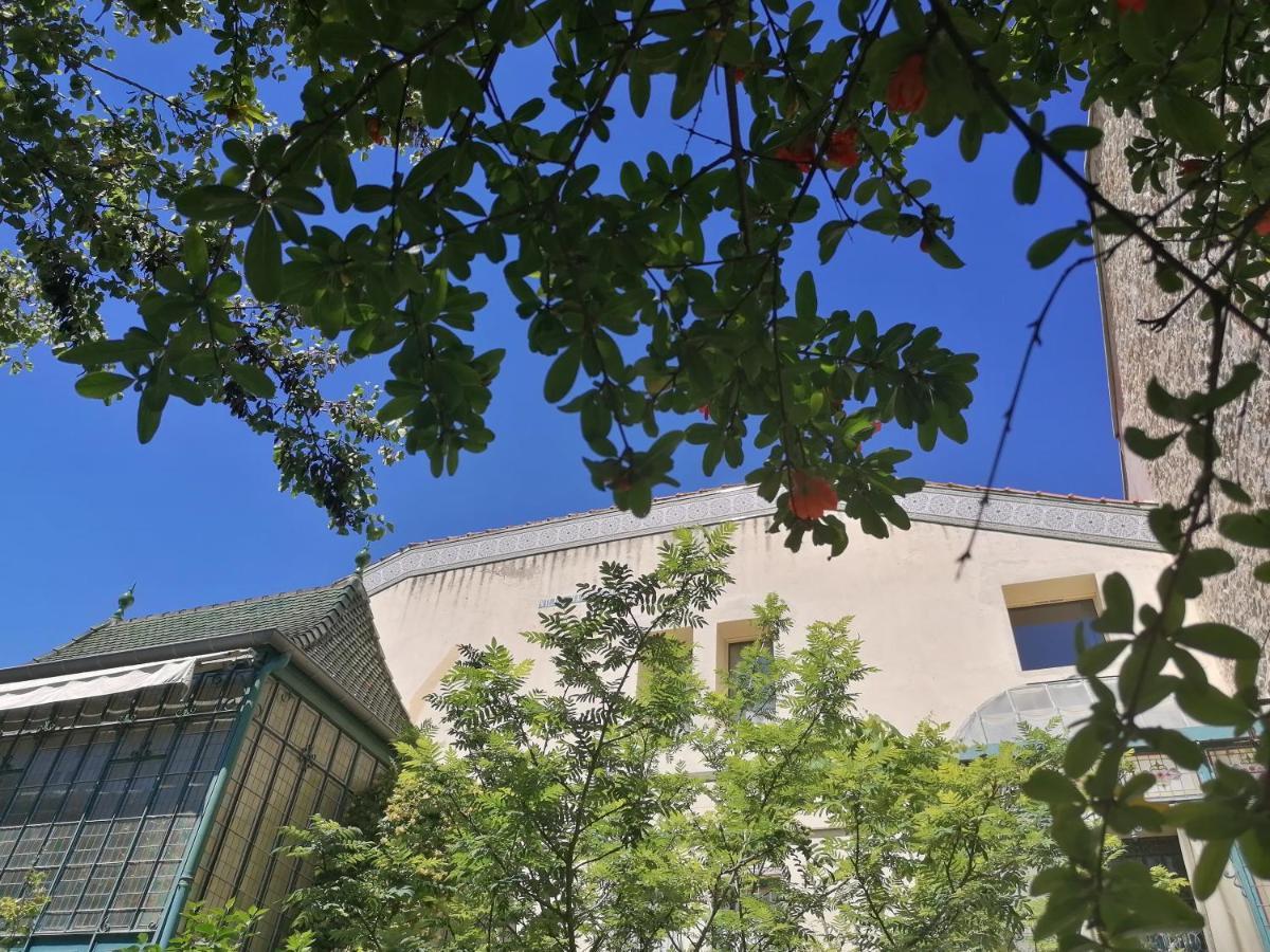 Villa Sainte Marie Narbonne Extérieur photo